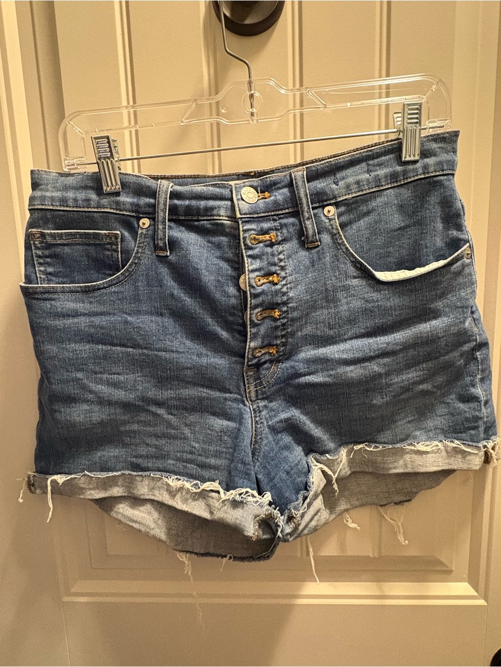 Madewell Denim Shorts 28